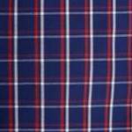 navy check