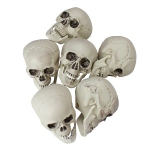 Northlight 3.5" Skeleton Skull Heads Halloween Decorations 6ct - White/Gray - 1 of 3