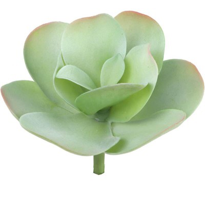 Floral Home 9" Paddle Plant Lifelike Succulent - 12-Piece