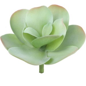 Floral Home 9" Paddle Plant Lifelike Succulent - 12-Piece - 1 of 2