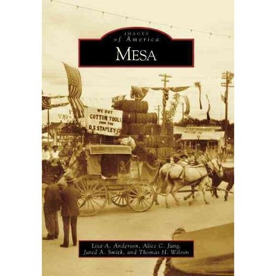  Mesa - by Lisa A. Anderson (Paperback) 