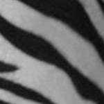 white black
