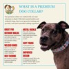 Country Brook Petz Premium Dog Collar - Americana Collection - 2 of 4
