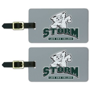 Lake Erie College Primary Logo Luggage ID Tags Suitcase CarryOn Cards  Set of 2 - 1 of 4