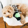 ZippyPaws Squeakie Buddies - No Stuffing Dog Toys for Small & Medium Dogs, Unstuffed Chew Toy, Soft Plush Puppy Products - Pack of 3 - 3 of 4