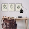 Stupell Industries Green Botanical Latin Study, 17" x 21" - 3 of 4