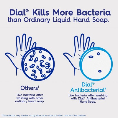 Dial Antibacterial Defense Liquid Hand Soap - White Tea - 11 fl oz/4pk