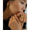Bearfruit Jewelry Sterling Silver 18k Gold Plated Erin Circle Stud Earrings - 4 of 4