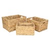 Cheung's Laelia Water Hyacinth Set of 3 Rope Accent Storage Baskets - 2 of 4