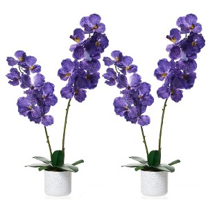 Orieon 31" Artificial Orchid Flowers with Green Leaves, Potted Faux Phalaenopsis Plant for Indoor Home Office Decor - 1 of 4