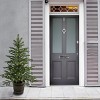 4' Prelit Feel Real Norwegian Spruce Entrance Artificial Christmas Tree in Whiskey Barrel Pot Clear Lights - National Tree Company - 2 of 4