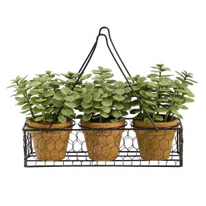 Nearly Natural 7-in Mini Jade Garden Artificial Plant in Hanging Planter - 1 of 4