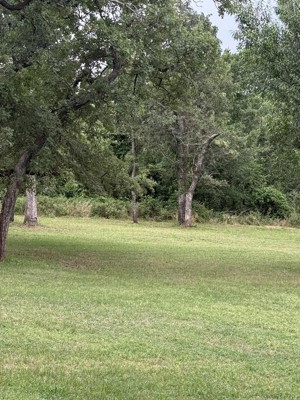 Guest review image 4 of 4, zoom in