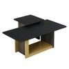 ACEPANO Set of 2 Modern Small Square Coffee End Table with Spacious Top-Black - 4 of 4