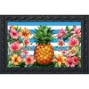 Briarwood Lane Everyday Doormat 30x18 Indoor Outdoor Pineapple and Stripes Doormat - 2 of 4