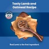Blue Buffalo Life Protection Lamb & Oatmeal Recipe Puppy Dry Dog Food - 30lbs - 3 of 4