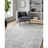 Hauteloom Cailyn Living Room, Bedroom Area Rug - Traditional - 4 of 4