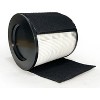 Nispira 2-in-1 True HEPA Replacement Filter for Air Purifier | Compatible with TaoTronics TT-AP008 | Remove Smoke, Dust, Pollen | 4 Packs - 3 of 4