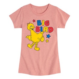 Girls' - Sesame Street - Big Bird Color Block Fitted Short Sleeve Graphic T-Shirt - 1 of 4