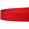 Country Brook Petz® 5/8 Inch Nylon Dog Leash - 4 of 4