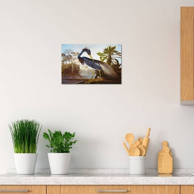 Louisiana Heron Fine-Art Giclée Canvas Wall Art