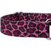 Country Brook Petz Martingale Dog Collar - Animal Prints Collection - 4 of 4