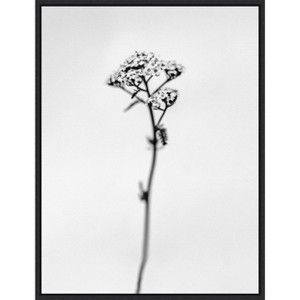 Amanti Art Amid the Flowers 47 by Teis Albers Canvas Wall Art Print Framed 18 x 24-in. - 1 of 4