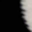 gray, beige, black, medium gray, medium brown