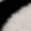 gray, beige, black, medium gray, medium brown