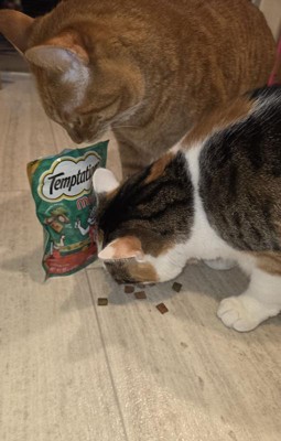 Guest review image 2 of 2, zoom in