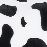 dalmatian
