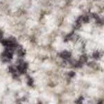 olive, cream, yellow, light peach, aqua, mustard, green