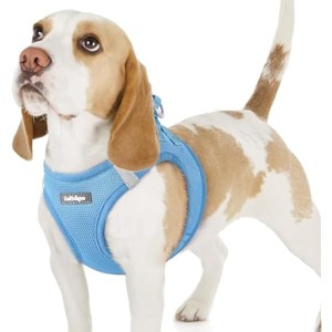 rabbitgoo Small Dog Harness, Step-in Soft Mesh Reflective Pet Harness for Small Sized Dogs, Blue M - 1 of 1