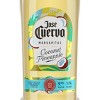Jose Cuervo Coconut Pineapple Margarita Cocktail - 1.75L Plastic Bottle - 3 of 4
