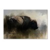 Trademark Fine Art - Jai Johnson Abstract American Bison Matted Framed Art - 2 of 3
