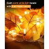 Fall Decor 2 Pack Lighted Fall Garland, Total 16.4ft 40 LED Halloween String Lights, Friendsgiving Gift Thanksgiving Decor for Home Holiday - 2 of 4