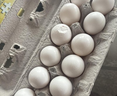 Guest review image 1 of 1, zoom in