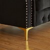 Hybition 2 Piece Velvet Chesterfield Button-Tufted Sofa Sets for Living Room - 3 of 4