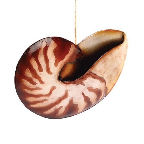 Gallerie Ii Tortoiseshell Nautilus Shell Christmas Xmas Ornament Target