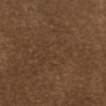 autumn brown