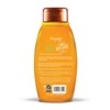 Aveeno Apple Cider Vinegar Blend Sulfate Free Shampoo for Balance and High Shine - 12 fl oz - image 3 of 4