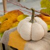 TopComfy Decorative Object Polka Dot Pumpkin Set Stylish Fall Decor for Harvest Festival Display, Off-White, 5.2"*5.2"*6" - 3 of 4