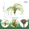 Unique Bargains Outdoor Floral Decoration Artificial Plants Fake Tillandsia 8" - 2 of 4