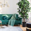 Costway 6 Ft Artificial Ficus Silk Tree Home Living Room Office Decor Wood Trunks - 2 of 4