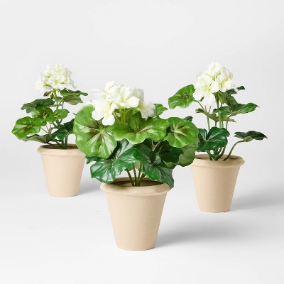 Set of 3 Geranium Potted Arrangements - Threshold™ designed with Studio McGee