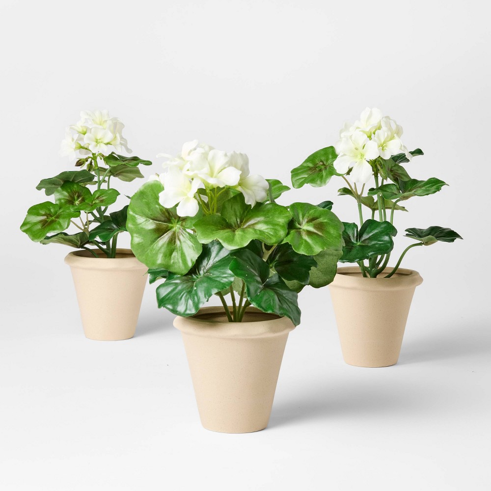 Photos - Other Decoration Set of 3 Geranium Potted Arrangements - Threshold™ designed with Studio McGee