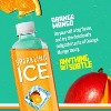 Sparkling Ice Orange Mango - 17 fl oz Bottle - image 2 of 4