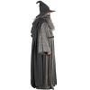 HalloweenCostumes.com Plus Size Lord of the Rings Gandalf Costume for Men,  Fantasy & Halloween - 4 of 4
