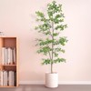 5.9/6.88FT Artificial Schefflera Tree Indoor With Natural Trunk And Realistic Leaves For Home Office Living Room Bedroom Foyer Porch Decor - 2 of 4