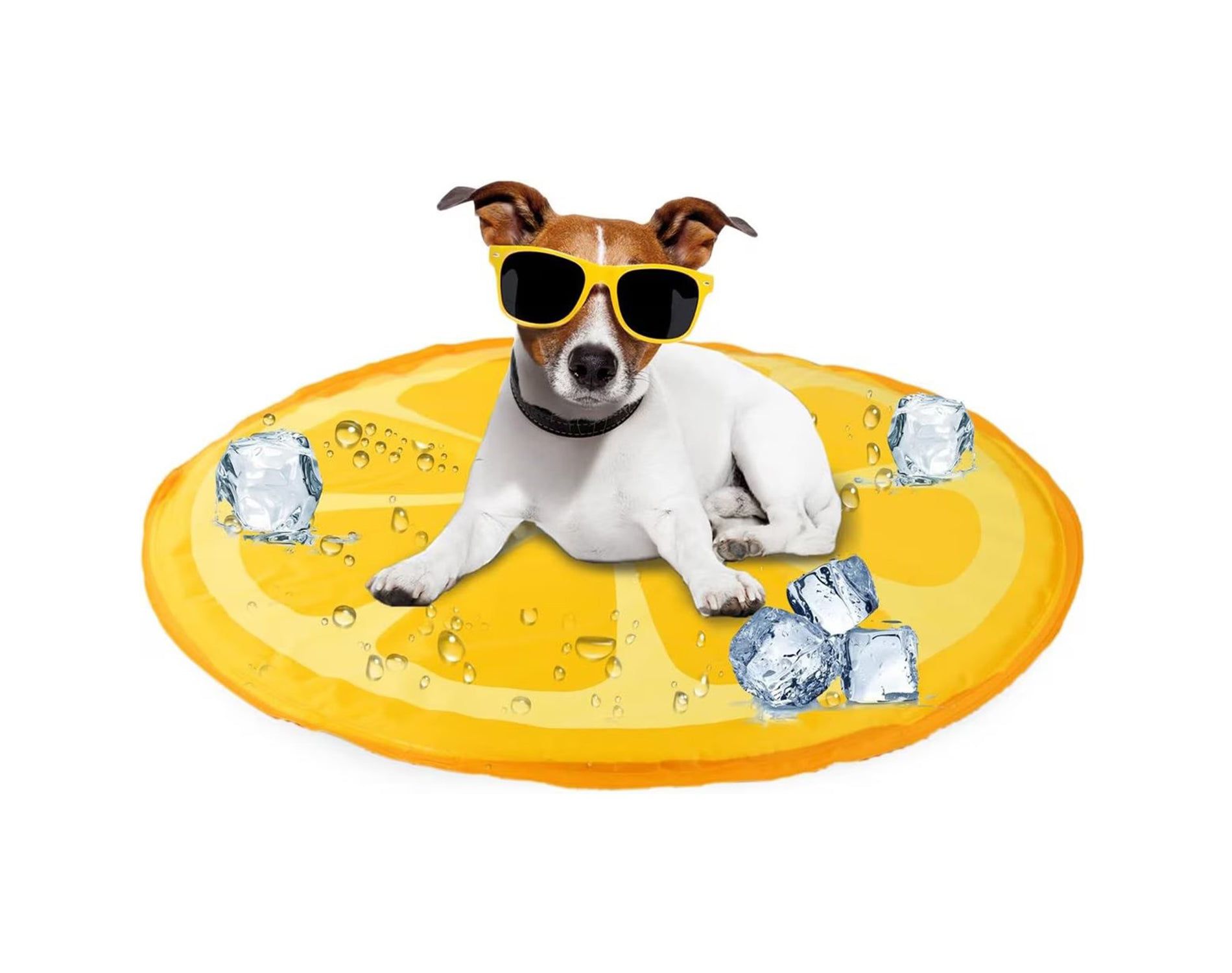Allforpaws Chill Out Orange Pet Cooling Mat